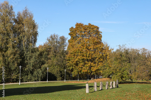 Beautiful autumn view with lovely park with large tree. © Artūrs Stiebriņš