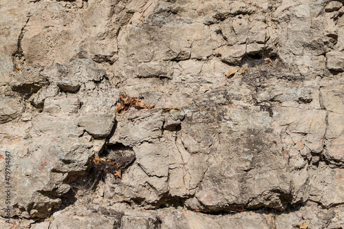 Natural landscape view of dolomite outcrop wall in nature.