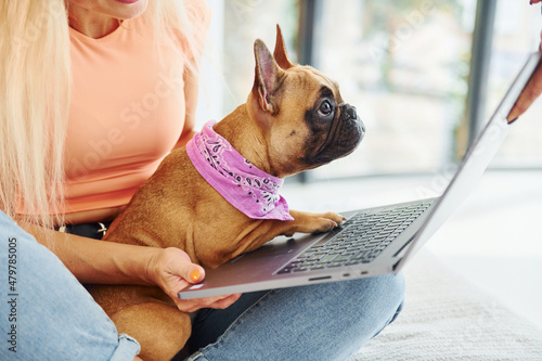 Using laptop. Woman with pug dog is at home at daytime