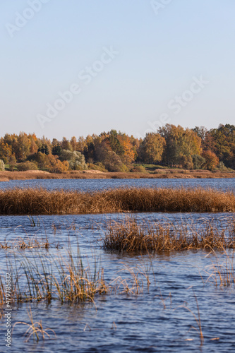 River landscape view with trees and sea grass in autumn colors.