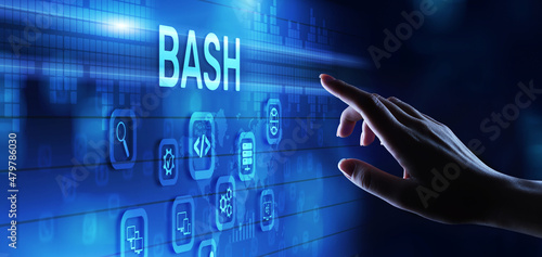 Tableau sur toile BASH Programming language software and web development internet technology concept