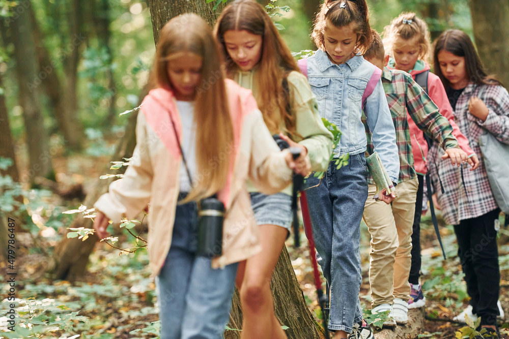 Obraz premium Walking on the new path. Kids in green forest at summer daytime together
