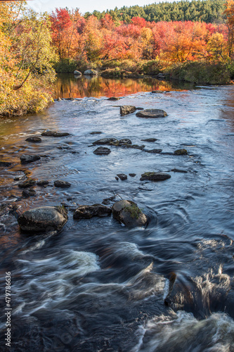 The Millers River on a fall day in Royalston  Massachusetts