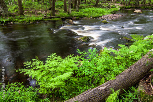 Lawrence Brook in Royalston  MA flows into Tully Lake