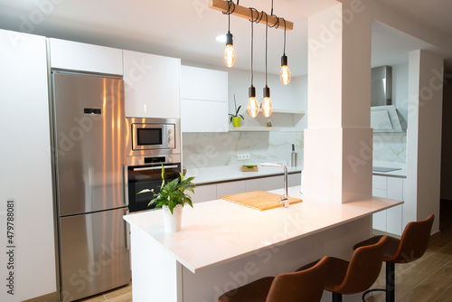 modern kitchen perfectly equipped with its appliances in a house