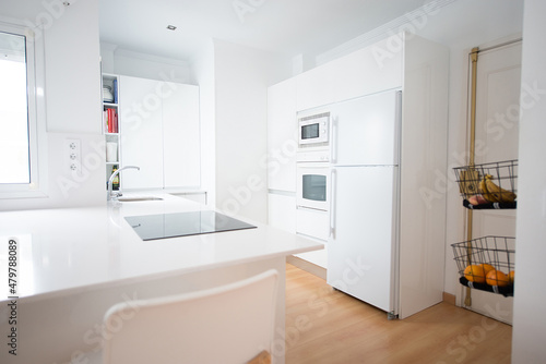 modern kitchen perfectly equipped with its appliances in a house