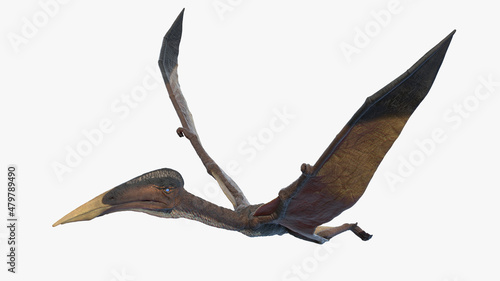 3d rendered illustration of a Hazegopteryx