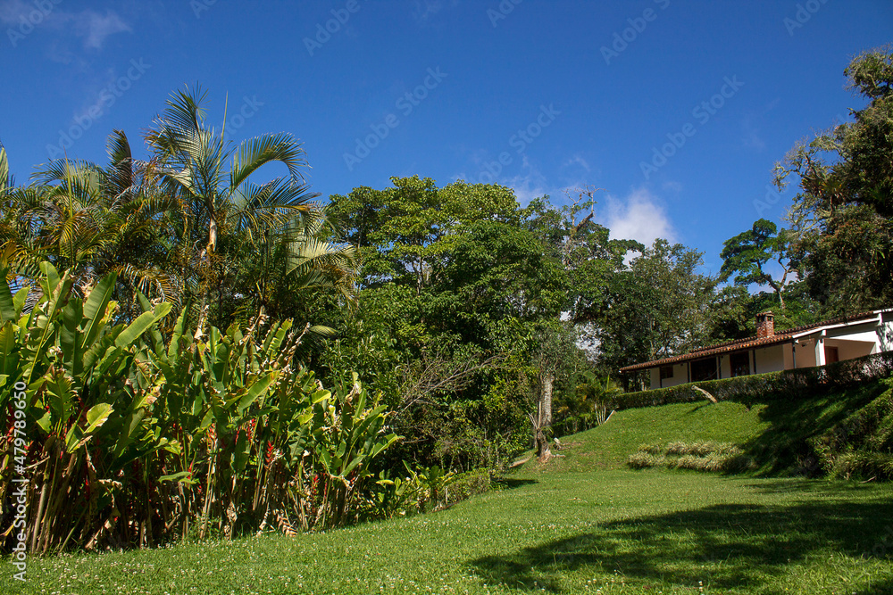 Green places full of peace of mind in el avila public park. Traveling through Caracas, knowing biodiverse recreation areas in Venezuela Green places full of peace of mind in el avila public park. Traveling through Caracas, knowing biodiverse recreation areas in Venezuela