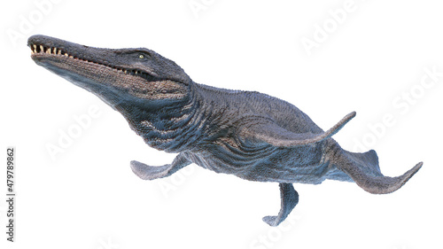 3d rendered illustration of a Kronosaurus photo