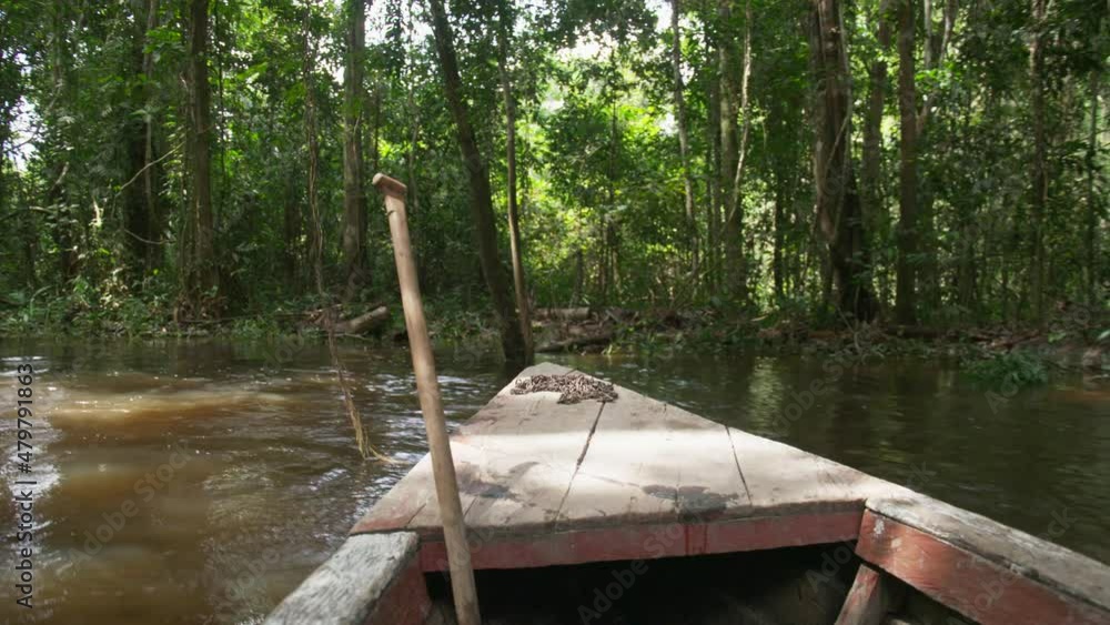 A wooden boat winds down a narrow stretch of the Amazon river surrounded by jungle on a sunny day. A wooden boat winds down a narrow stretch of the Amazon river surrounded by jungle on a sunny day.