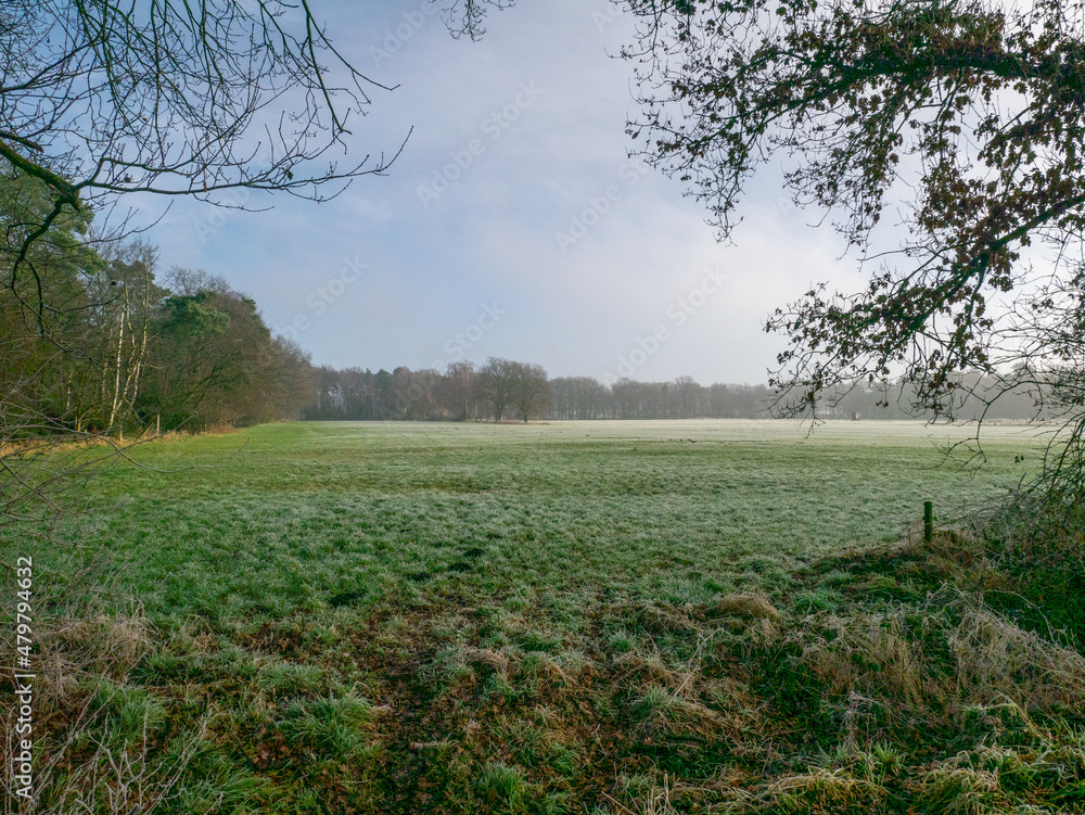 Fotografie frosty morning in winter
