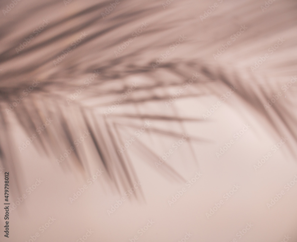 Obraz premium Shadow of palm tree leaf on pastel peach color background. Summer creative concept idea. Vacation mode. Top view. Flat lay.