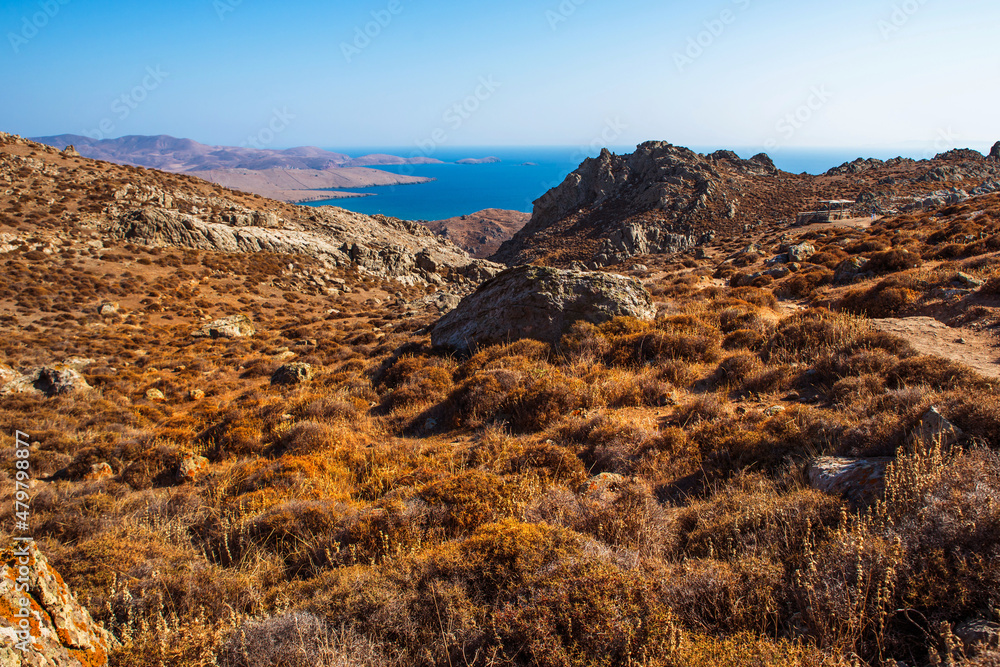 Many clump of dried thyme, rocky inland and blue sea on horizon. Limnos, Greece.
