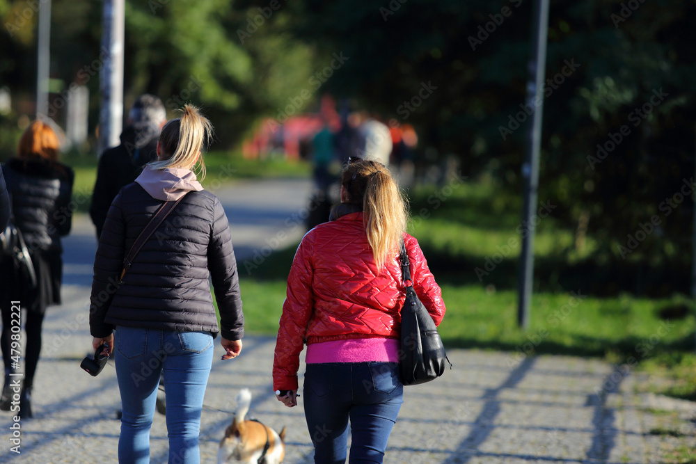 Dwie kobiety spacerują z pieskiem w parku. - obrazy, fototapety, plakaty 