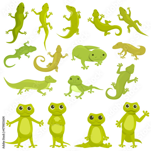 Fototapeta Naklejka Na Ścianę i Meble -  Gecko icon cartoon vector. Chameleon animal. Amphibian lizard