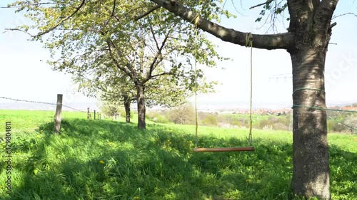 Wooden home-made swing on ropes hangs on thick tree branch in shade and moves with wind on quiet, calm, sunny day in village in fields, garden or courtyard with view of distant horizon in Germany