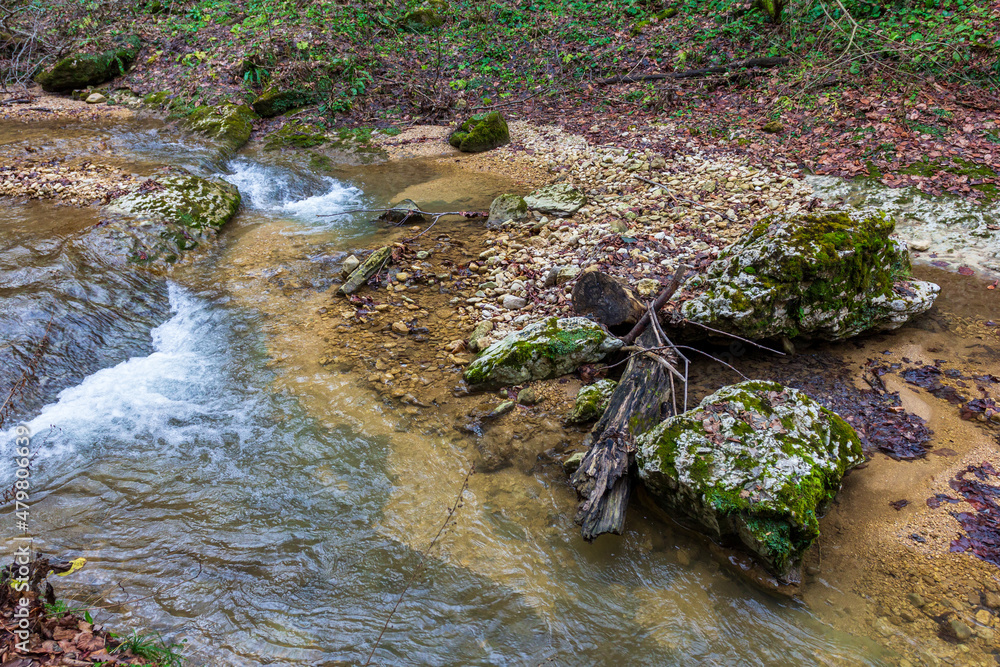 mountain river canyon late autumn season in Europe . walking in nature, observing the process of changing the season. mountain river canyon late autumn season in Europe . walking in nature, observing the process of changing the season.
