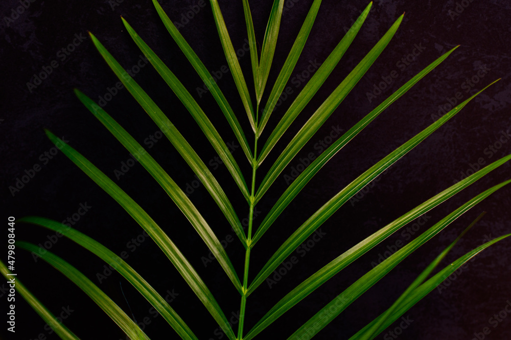 Obraz premium abstract background