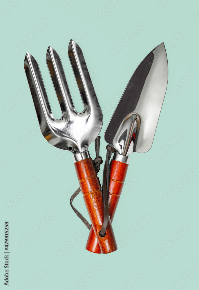 Garden shovel and fork isolated on green background