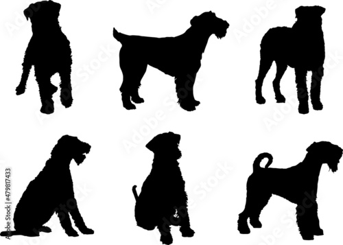 Airedale Terrier Dog Silhouette Vector Pack