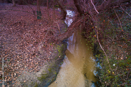 strumyk woda krajobraz drzewa liście 