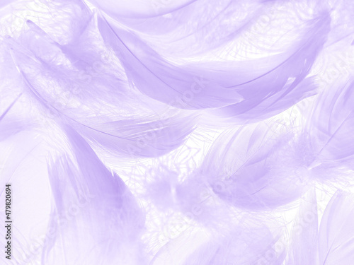 Beautiful abstract purple feathers on white background, gray feather texture on dark pattern and purple background, colorful feather wallpaper, love theme, valentines day, light purple gradient