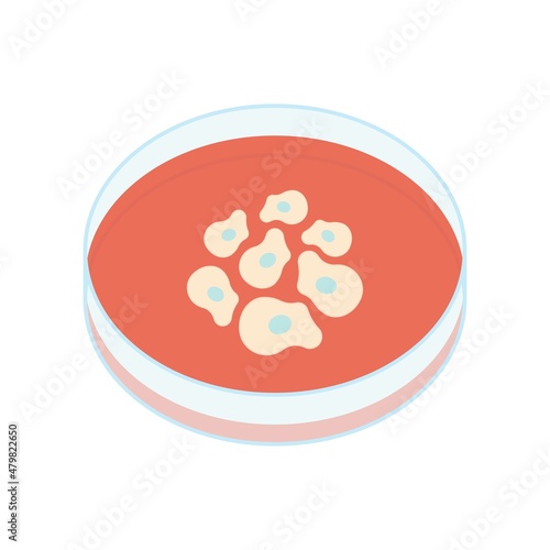 Stem cell flask equipment petri dish lab hood flow animal virus Research cancer media serum culturing line plate testing therapy egg organ yeast device in vitro coculture assay safety embryo tissue