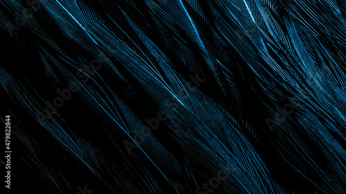 background with bird basant feathers