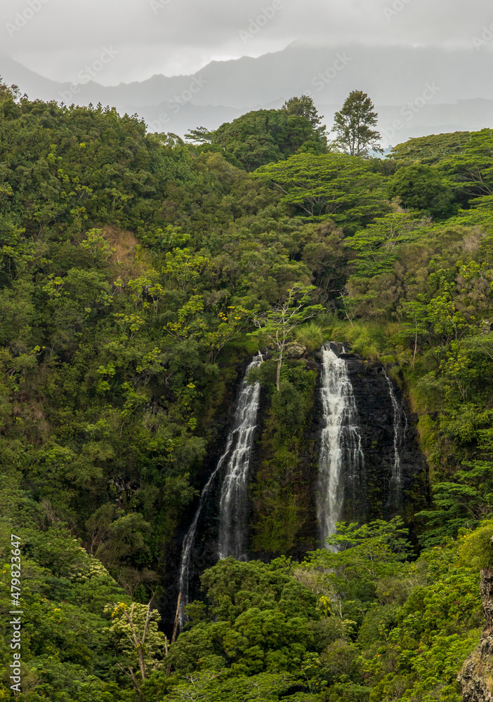 The gorgeous Opaeka'a Falls cascading waterfall on Kauai Island, Hawaii