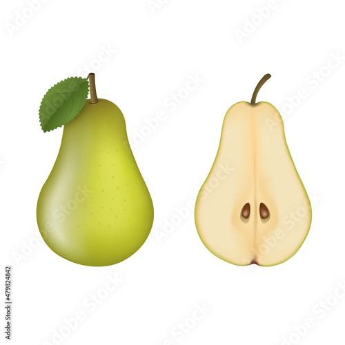 Isolated green pear. One and a half pears vector