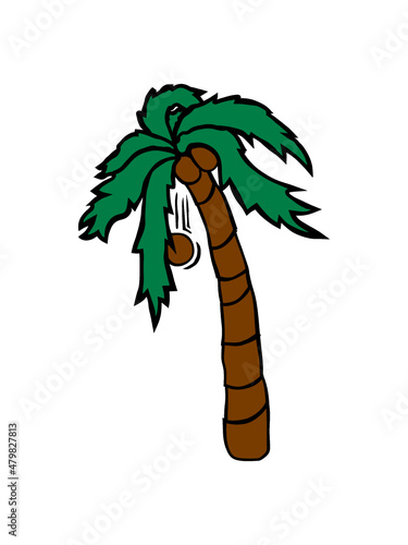 Palme verliert Kokosnuss 