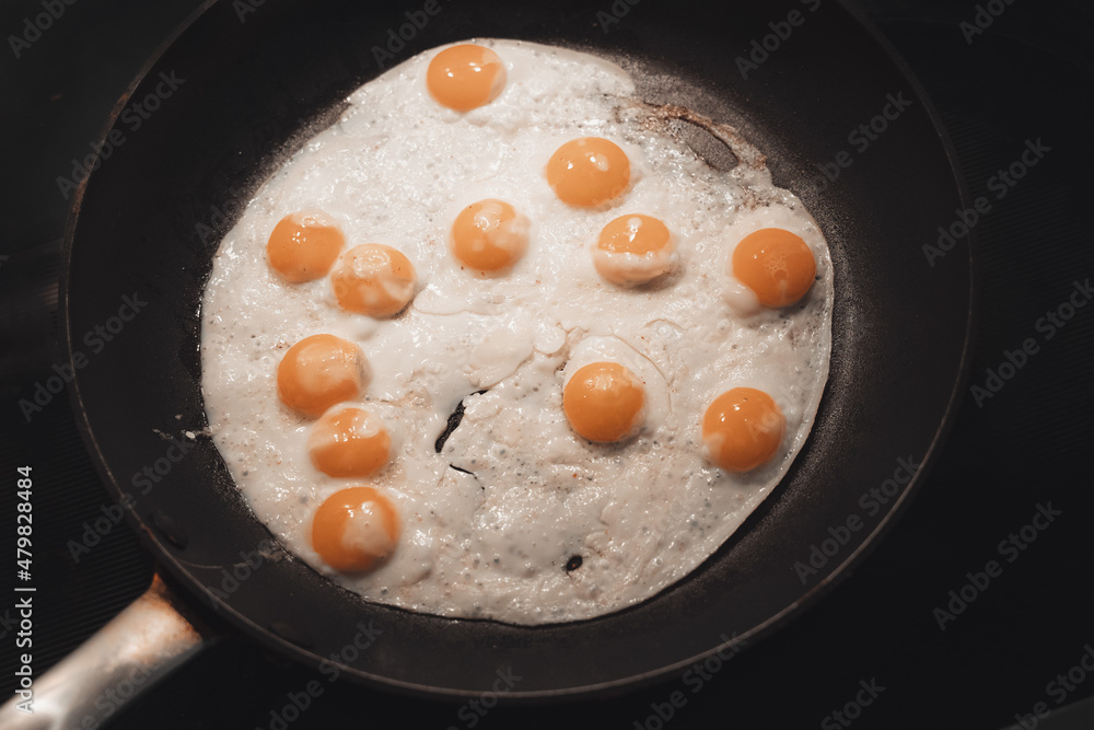 Common quail eggs cooking for breakfast Common quail eggs cooking for breakfast