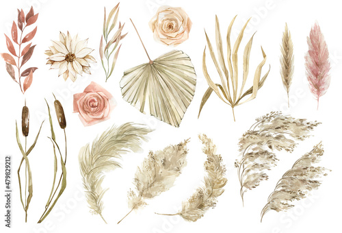 Foto Watercolor boho flowers and leaves clipart