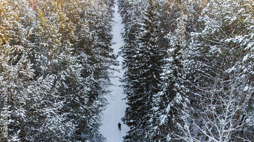 snow covered tree © Сергей Петросянц