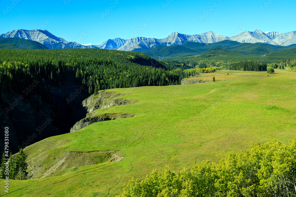 Fototapeta premium Sheep River Provincial Park Kananaskis Country Alberta Canada