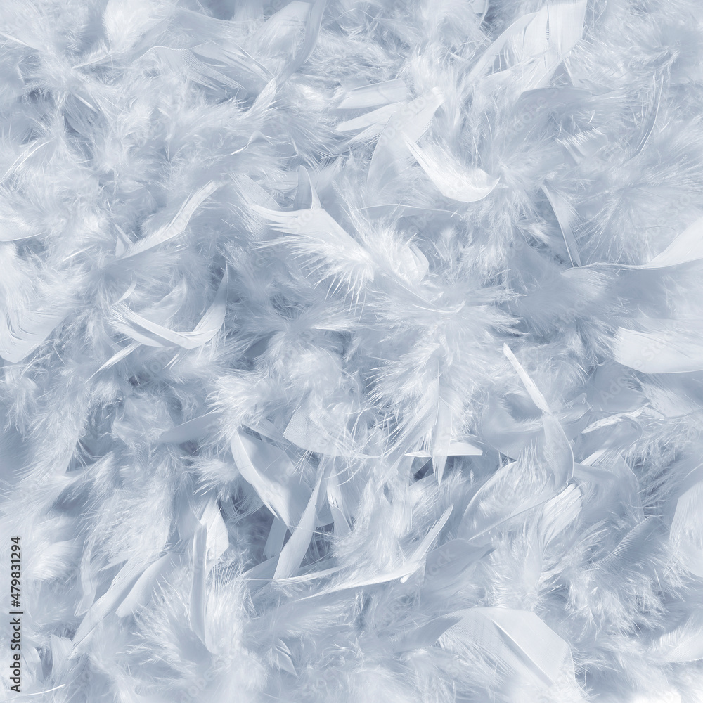 Smooth background of grey color feathers. Smooth background of grey color feathers.