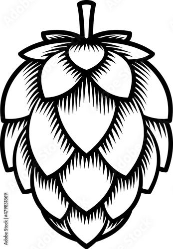 Illustration of a hops flower used in making beer.