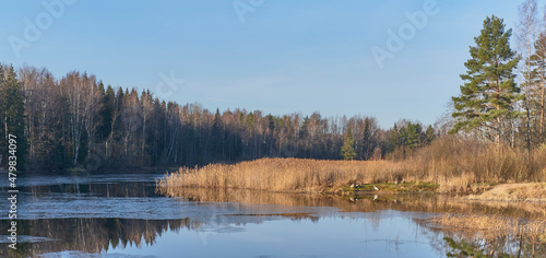 Fall country landscape with thin crust of ice on water surface, heron on riverbank, scenic forest