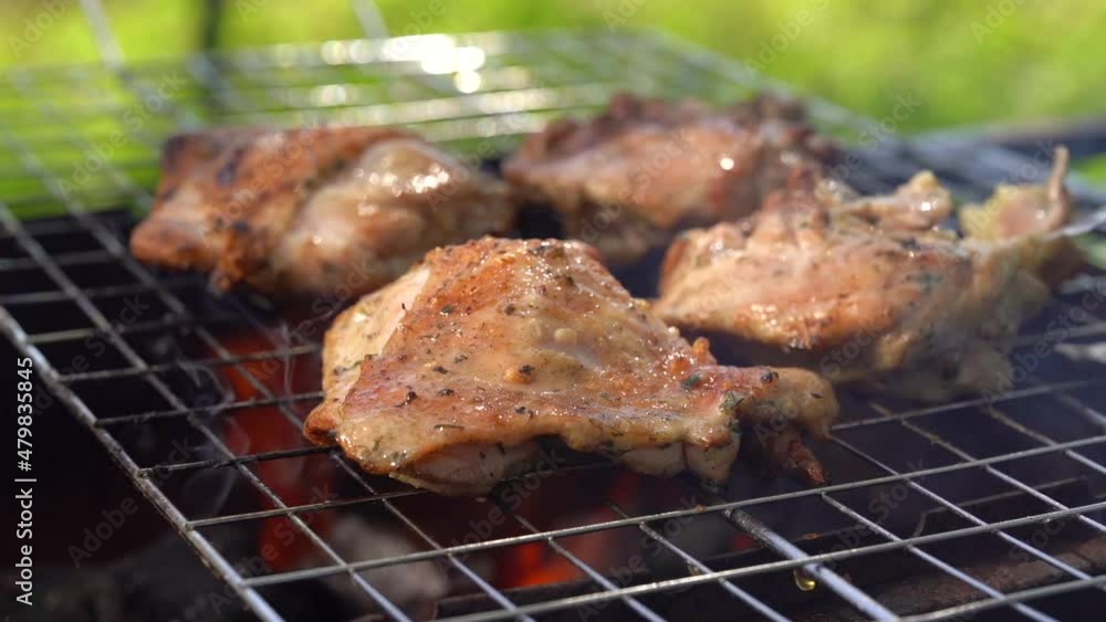 Chicken kebab, chicken pieces on a wire rack in spices. Side view. Chicken kebab, chicken pieces on a wire rack in spices. Side view.