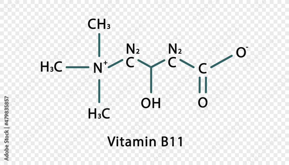 Vitamin B11 chemical formula. Vitamin B11 structural chemical formula  isolated on transparent background. Stock Vector | Adobe Stock