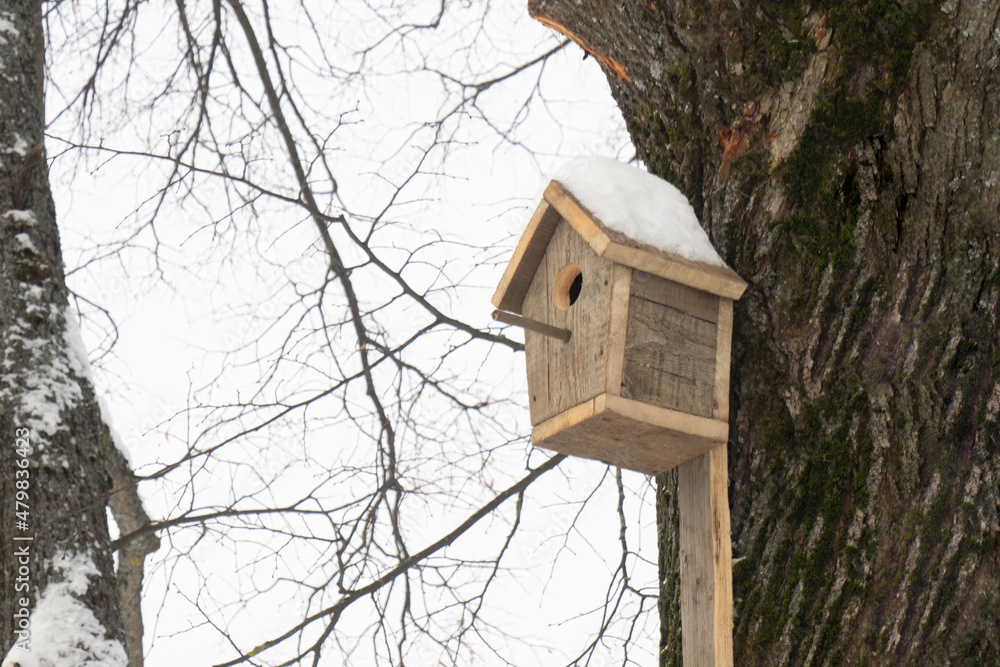 Birdhouse made of boards, fixed on a linden tree, with snow on the roof Birdhouse made of boards, fixed on a linden tree, with snow on the roof