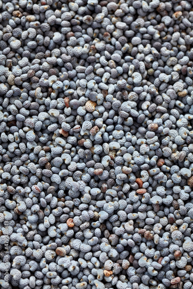 Extreme close up of blue poppy seeds, selective focus, natural abstract background. Extreme close up of blue poppy seeds, selective focus, natural abstract background.