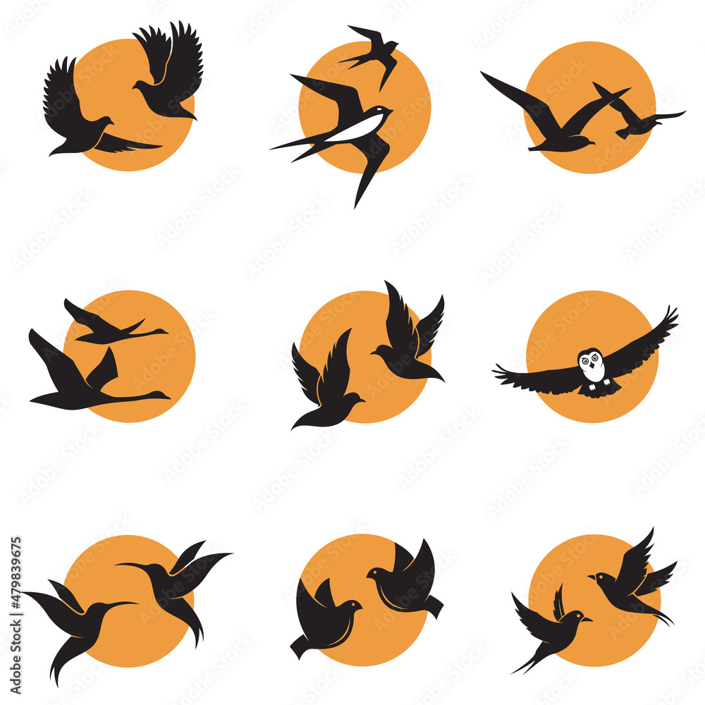 collection of various bird icons against background of sun