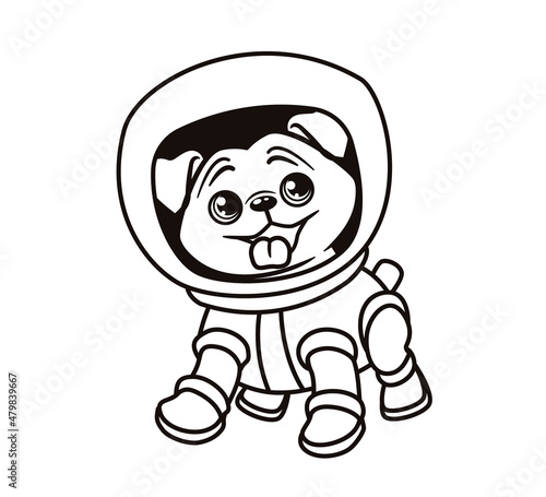 Coloring book  dog astronaut  pug in spacesuit  isolated vector illustration on white background