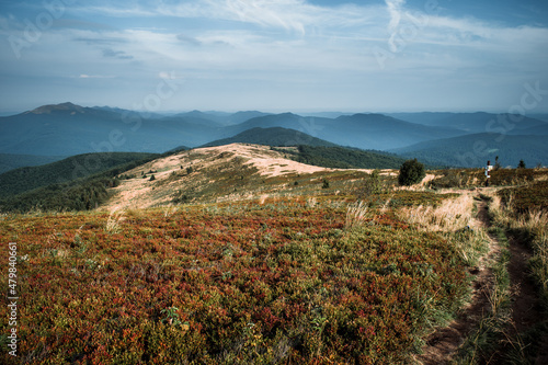 Fototapeta Naklejka Na Ścianę i Meble -  Bieszczadzkie połoniny. Widok z Bukowego Berda