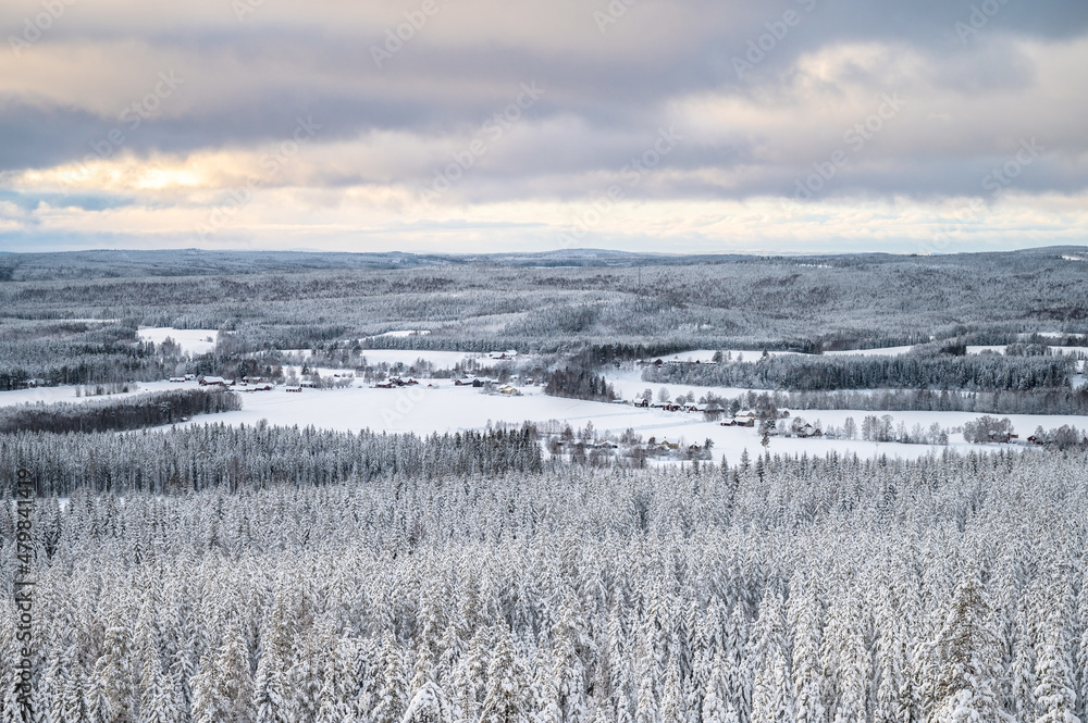 Obraz premium A vast view of the snow covered trees in the snowdrifts horizon. Magical winter forest. Natural landscape with dramatic beautiful sky.