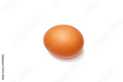 one brown chicken egg on a white background