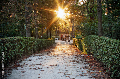 Autumn in the park  Madrid  Spain