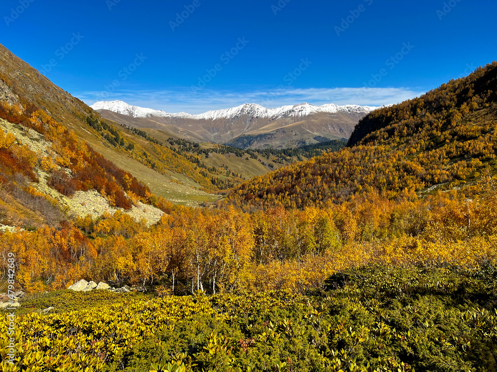 Fototapeta premium autumn in the mountains