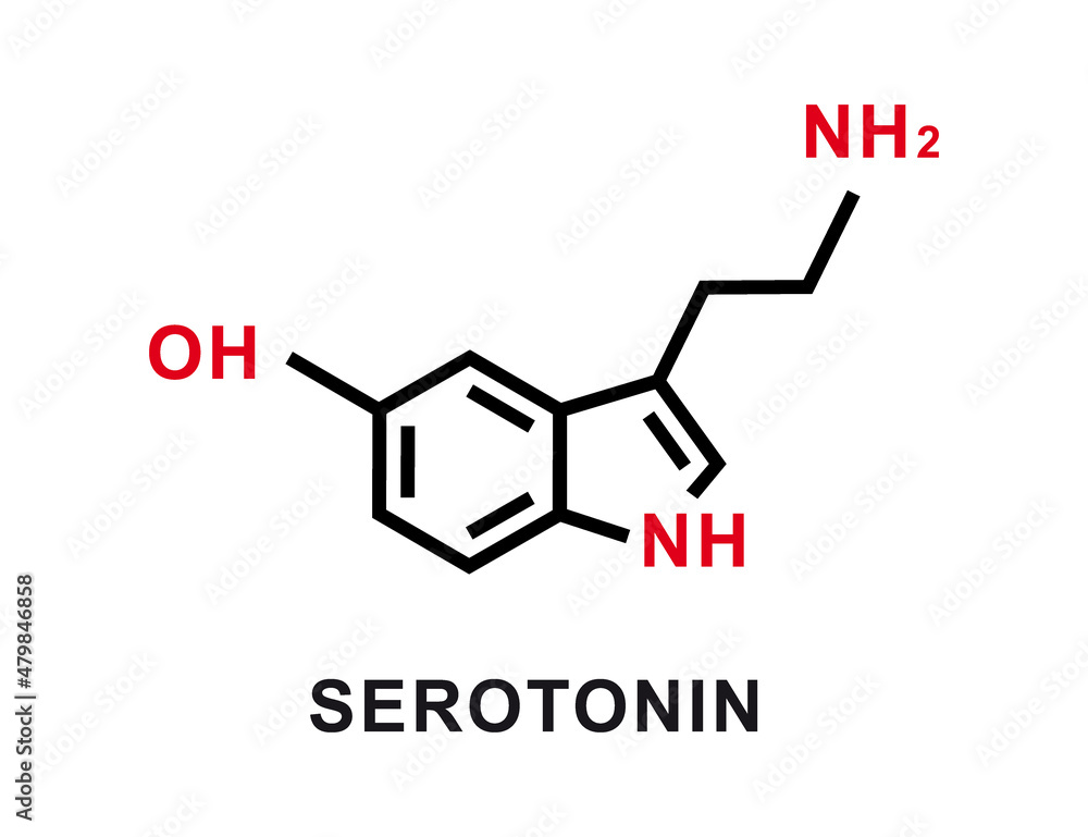 Serotonin chemical formula. Serotonin chemical molecular structure. Vector illustration Serotonin chemical formula. Serotonin chemical molecular structure. Vector illustration